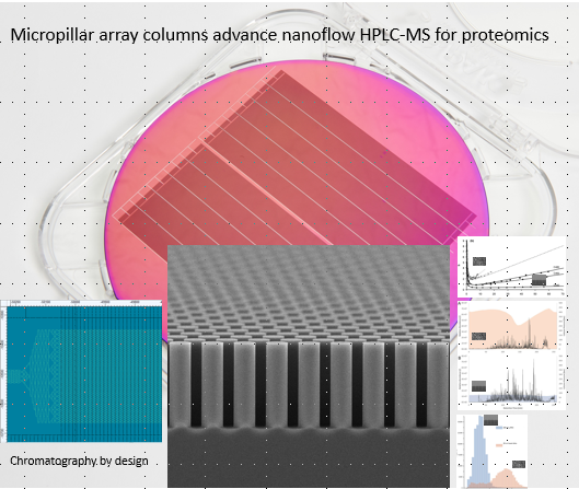 graphical abstract